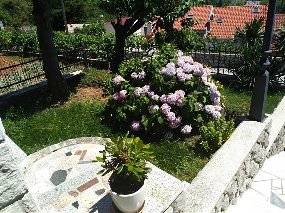 Apartment Mediterranean Garden Rijeka Extérieur photo
