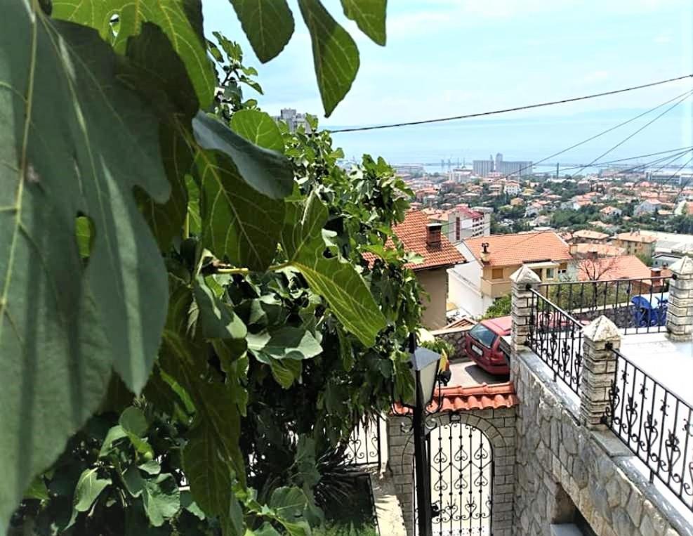 Apartment Mediterranean Garden Rijeka Extérieur photo